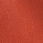 2434820 - CORALLO